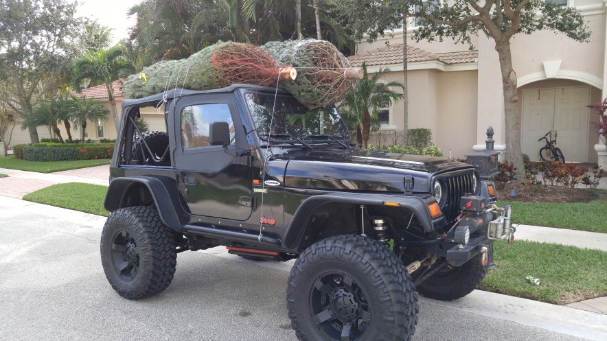 Got my Christmas Tree Yesterday.... | Jeep Wrangler Forum
