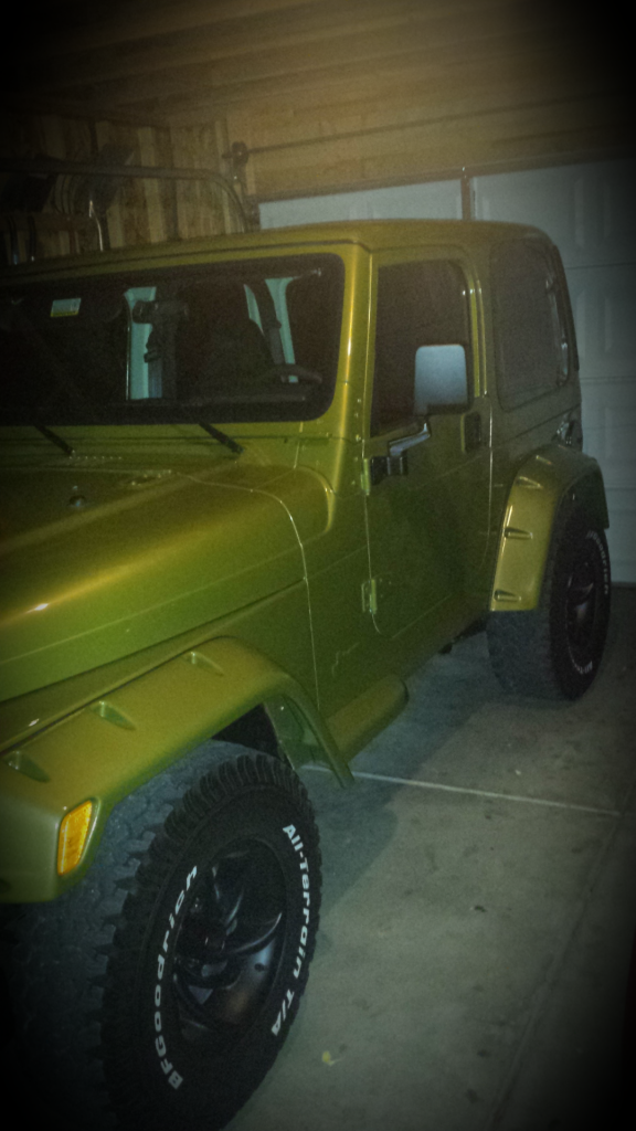 Ninja turtle jeep wrangler top